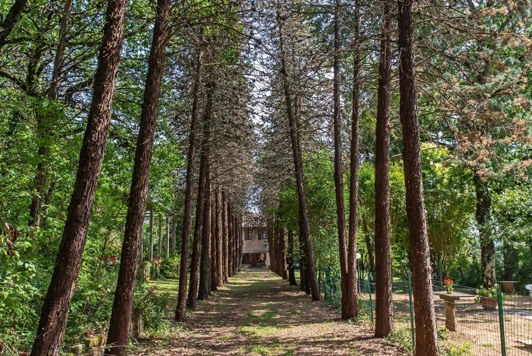 Agriturismo Villa Alari Cetona Luaran gambar